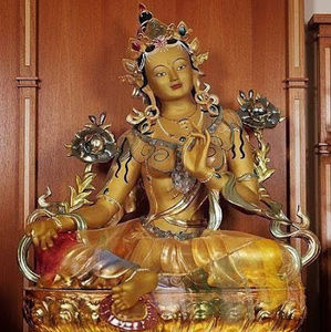 Meet your Posher, Chimi